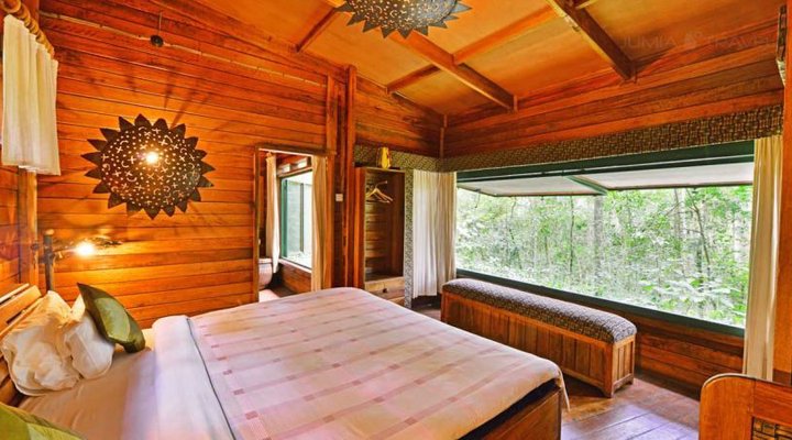 The Rainforest Lodge