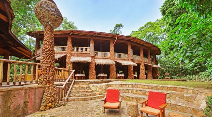 The Rainforest Lodge