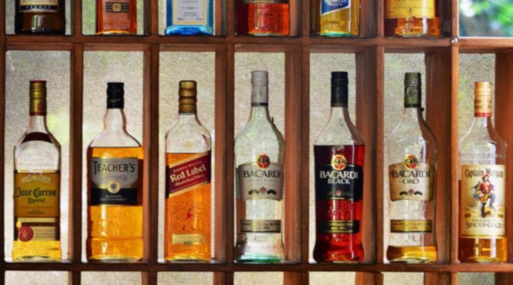 The Rainforest Lodge