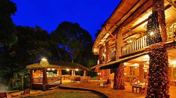 The Rainforest Lodge