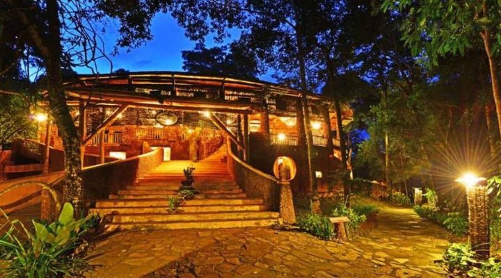 The Rainforest Lodge