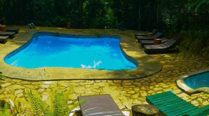 The Rainforest Lodge