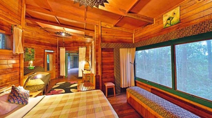 The Rainforest Lodge