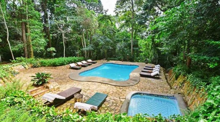 The Rainforest Lodge