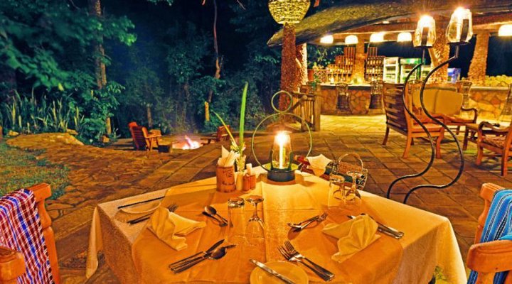 The Rainforest Lodge