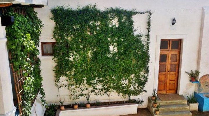 Jardim dos Alo?s Unique B&B