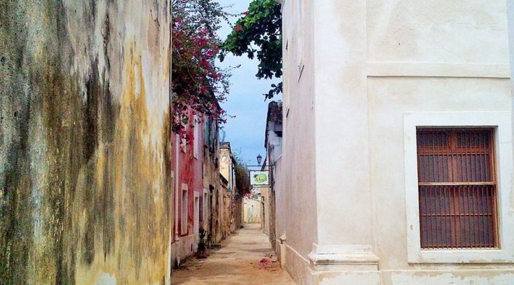 Jardim dos Alo?s Unique B&B