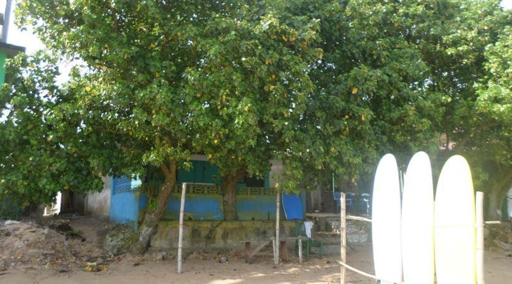 Peter's Place Guesthouse