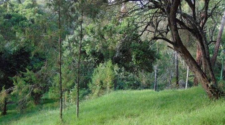 Mount Kenya Leisure Lodge