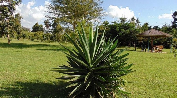 Mount Kenya Leisure Lodge