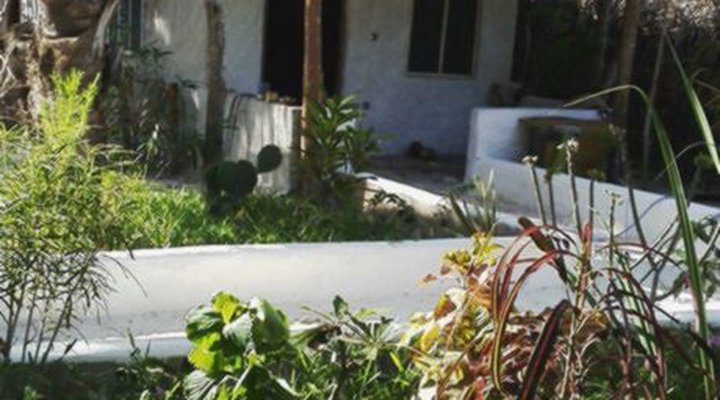 Mnyasa Bungalows