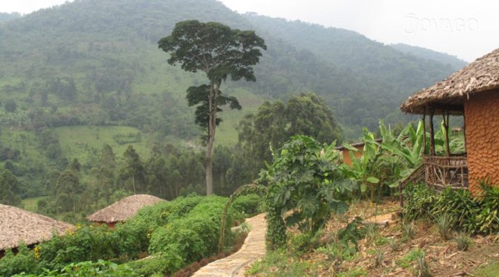 Mahogany Springs Luxury Lodge