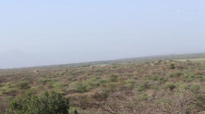Doho Lodge and Hippos Sanctuary