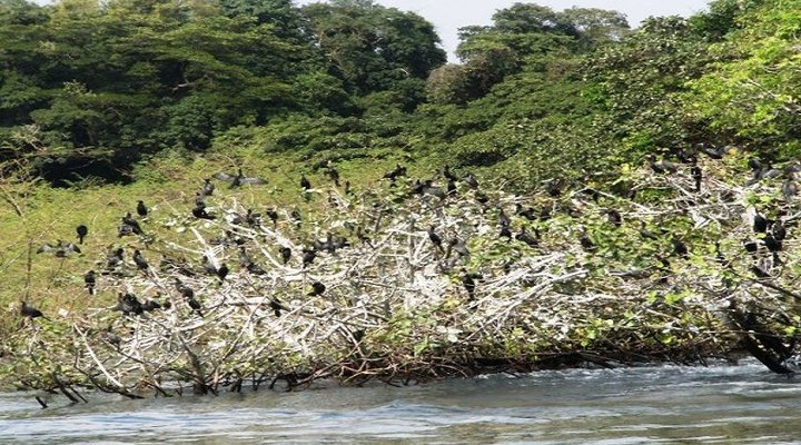 Kiroyera Camping Site