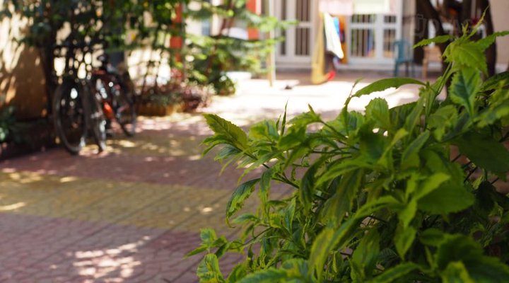 Manuhie Backpackers Lodge