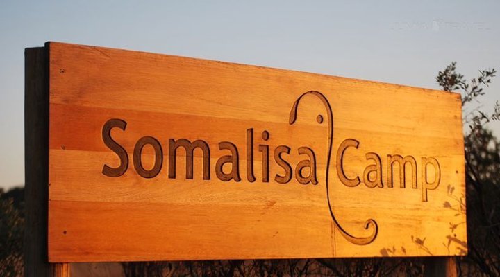 Somalisa Camp