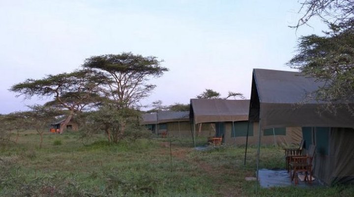Ndutu Camp