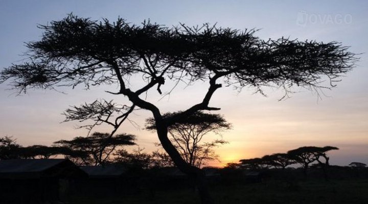 Ndutu Camp