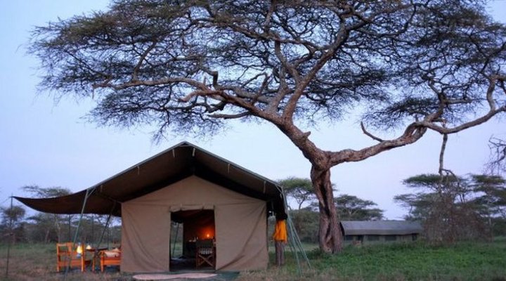 Ndutu Camp