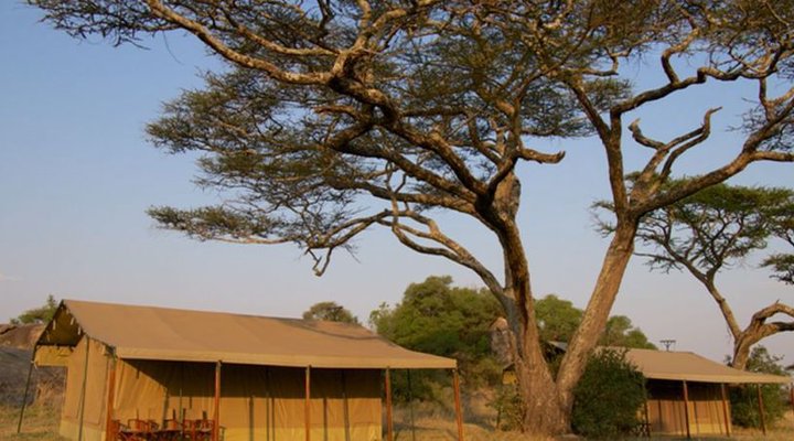 Kisura Serengeti Camp