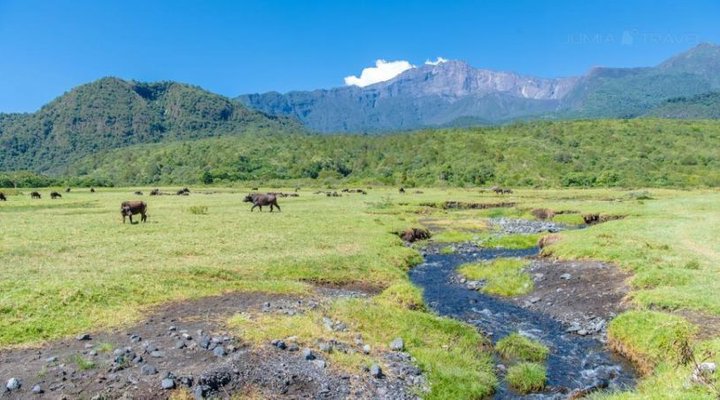 Africa Amini Life Guesthouse
