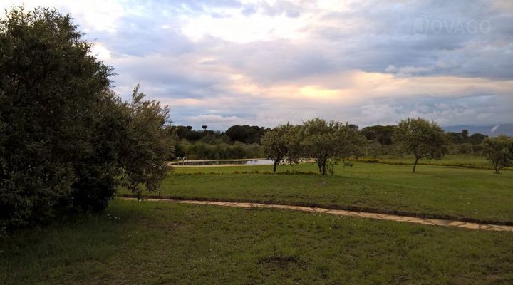 Shwari Cottages