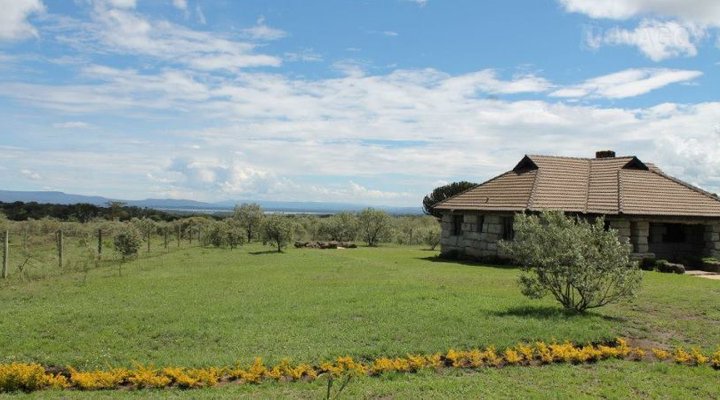 Shwari Cottages