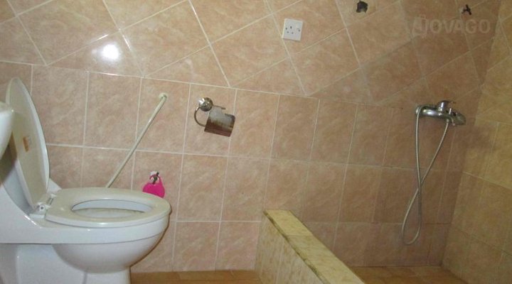 Dzifanor's Guest House