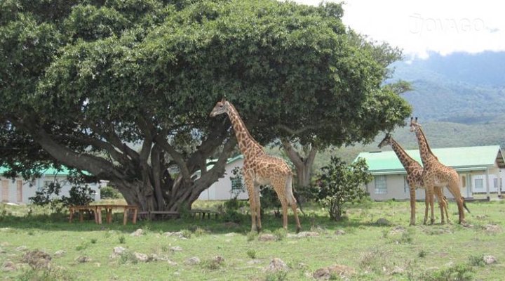 Africa Amini Hillside Retreat