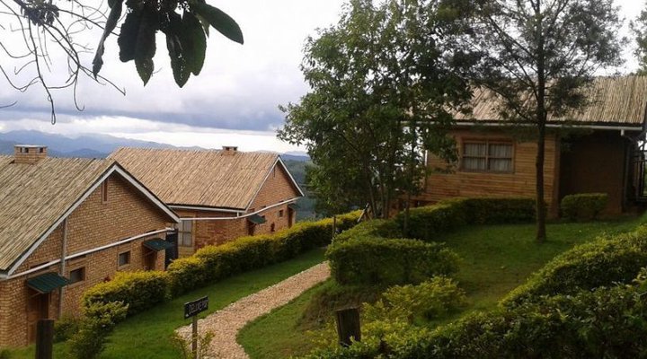 Ruhija Gorilla Lodge Bwindi