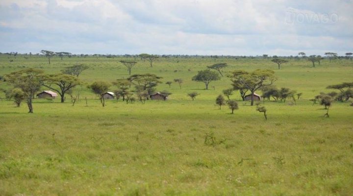 Serengeti Mawe Tented Camp