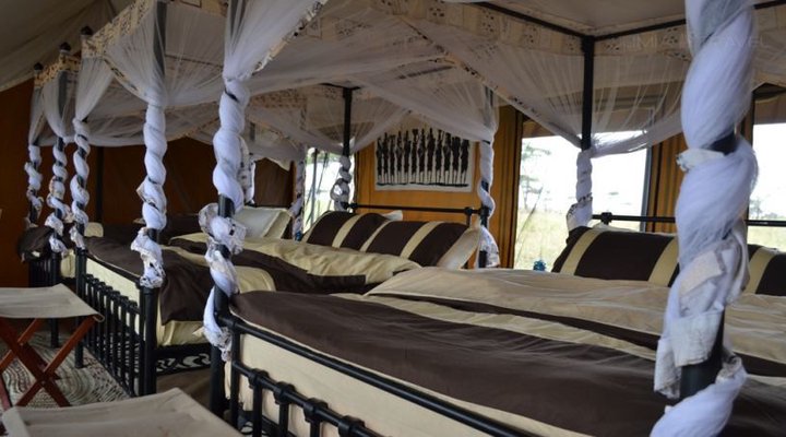 Serengeti Mawe Tented Camp