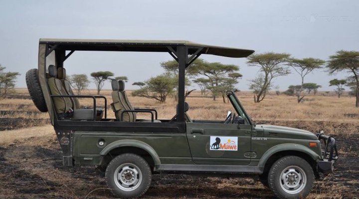 Serengeti Mawe Tented Camp