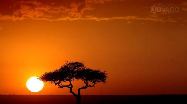 Serengeti Mawe Tented Camp