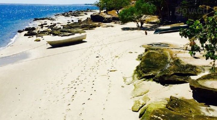 Libelula Accommodation and Diving Lodge