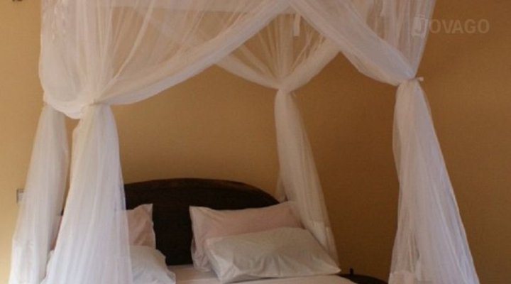 Libelula Accommodation and Diving Lodge