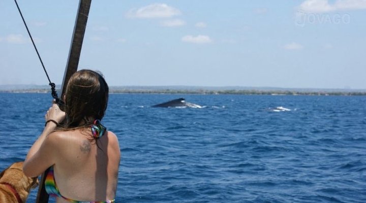 Libelula Accommodation and Diving Lodge