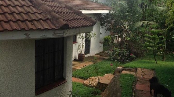 Homely Stay Guesthouse
