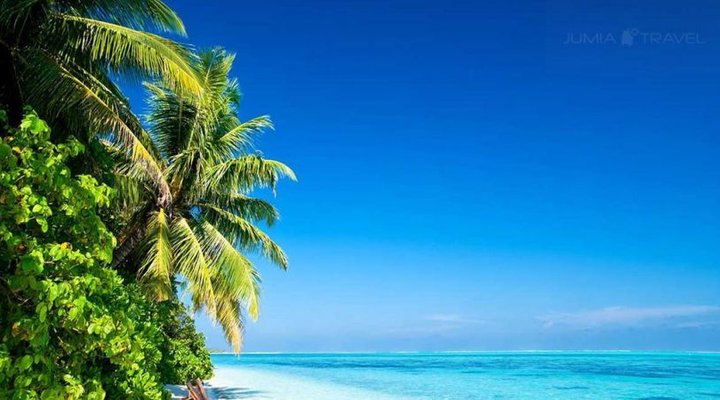 Twiga Beach Resort and Spa
