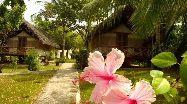 Mkoma Bay Tented Lodge