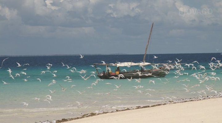 Mkoma Bay Tented Lodge