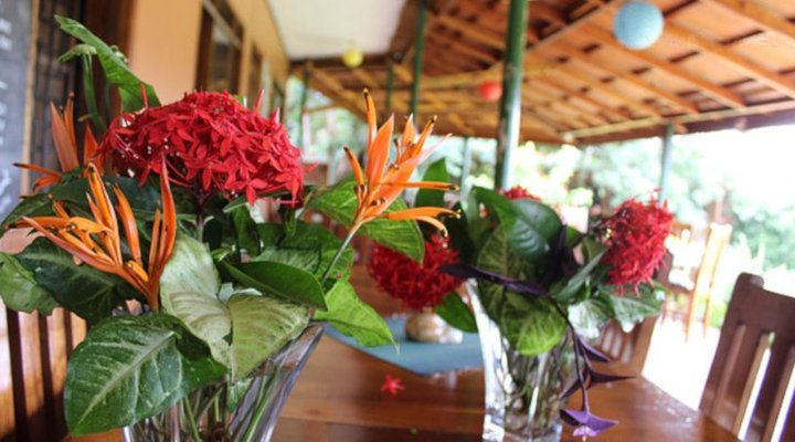 Surjio's Guest House