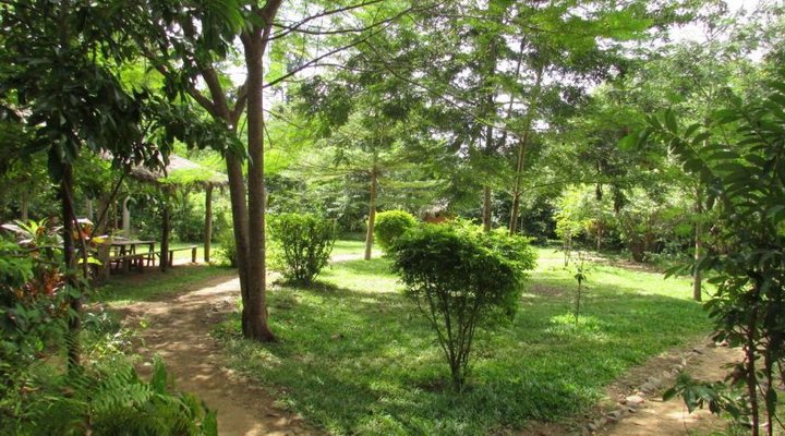 Udzungwa Forest Tented Camp