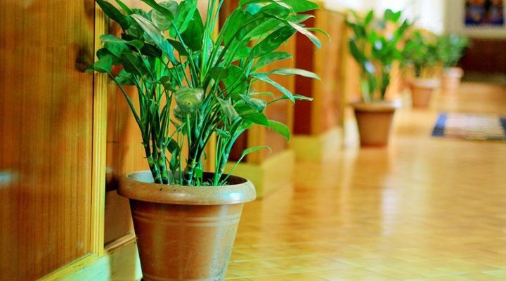 Shangri-La Kampala Club Hotel