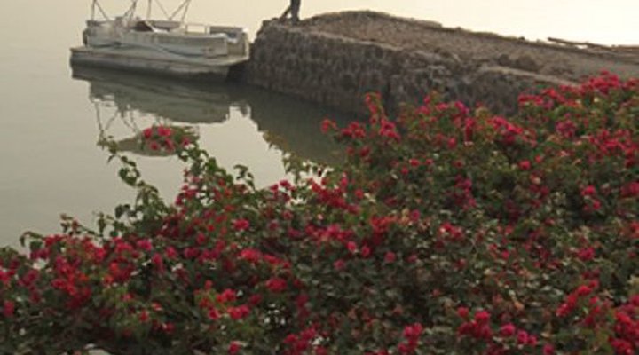 Kuriftu Lake Tana Resort and Spa