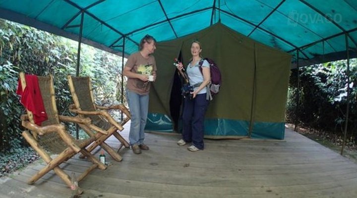 Wagtail Eco Safari camp