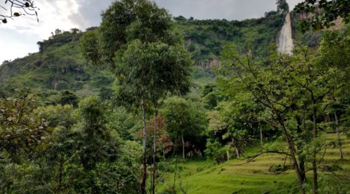 Sukali Bistro & Hostel