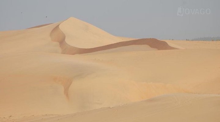 Camp Du Desert
