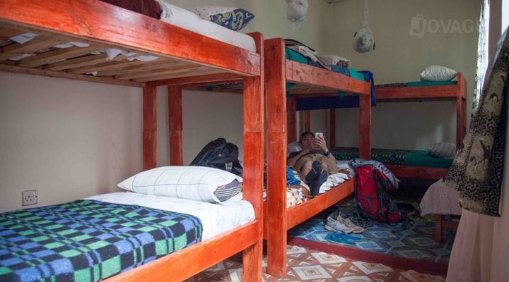 Golden Monkey Guesthouse