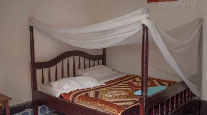 Golden Monkey Guesthouse